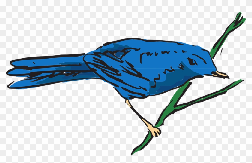 Blue, Bird, Wings, Stem, Feathers, Avian, Free Vector - Bird #1199821