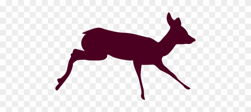 Deer Running Sequence 8 Transparent Png - Deer #1200035