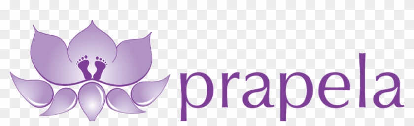 Prapela 20logo Parallel - Massachusetts #1200120