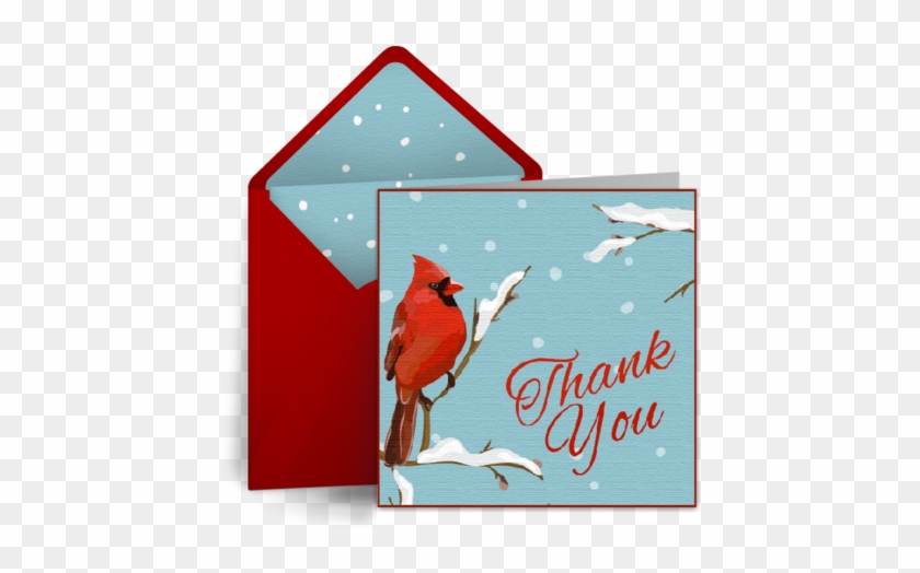 Send Free Digital Holiday And Christmas Thank You Cards - 100 Imprinted Greeting Cards - Cardinal Holiday Greeting #1200509