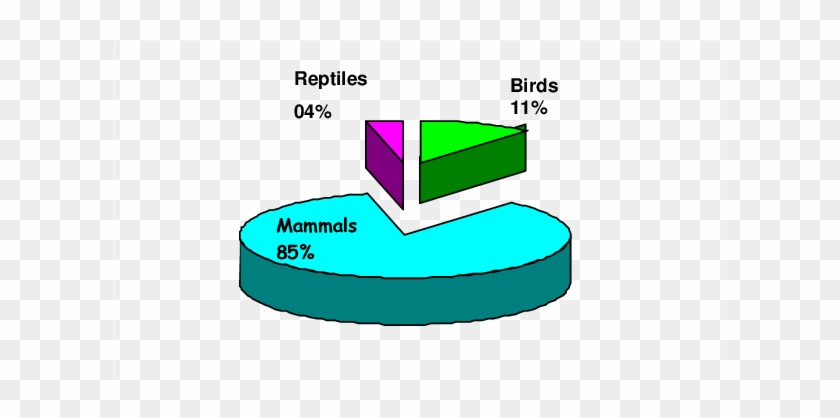 Proportions Of Left Over Food Items Found In The Nest - Diagram #1200745