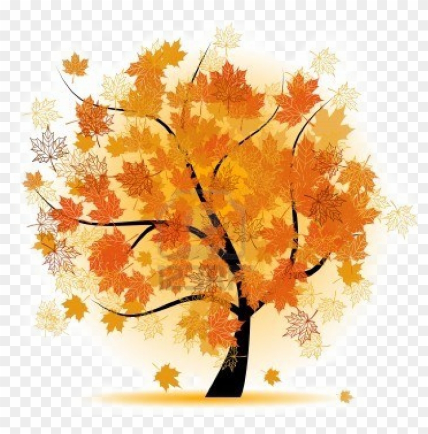 Tree Fall Leaves Png Images Png Images - Maple Tree Clip Art #1200831