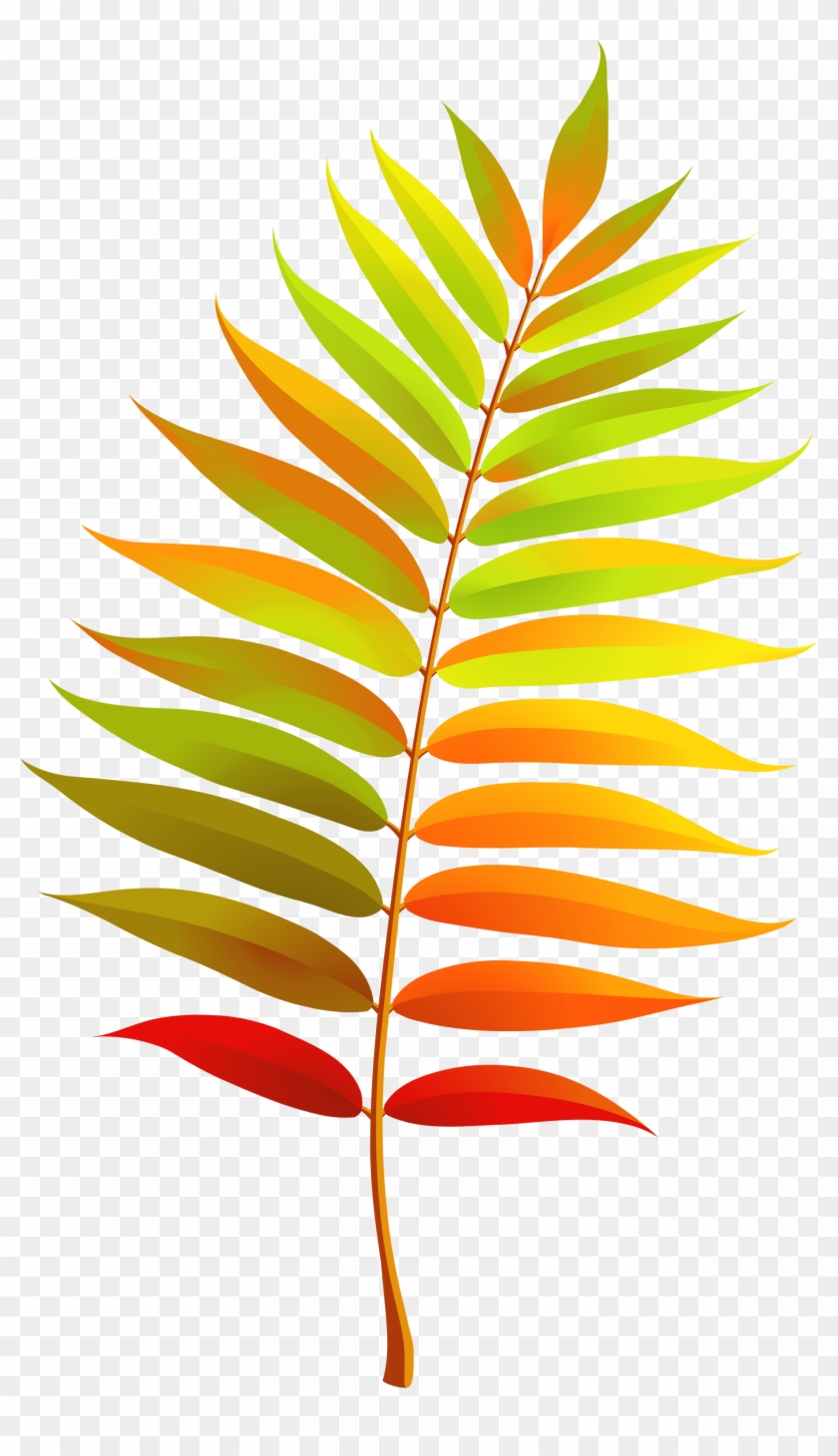 Colorful Transparent Fall Leaf Clipart - Leaves Clipart Transparent #1200839
