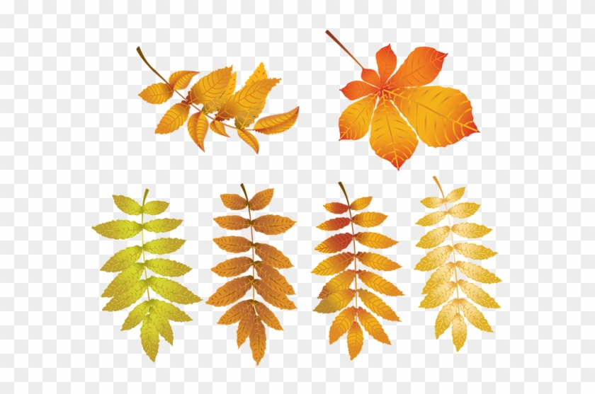 Autumn Leaves Png Transparent Clip Art Image - Autumn #1200847