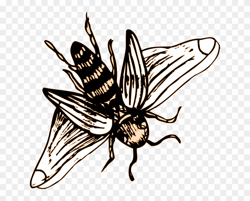 Drawing, Bee, Stripes, Wings, Art, Insect - Bee Drawing Png #1200951