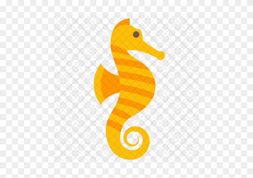Animal, Fish, Hippocampus, Sea, Seahorse, Tropical, - Seahorse #1201058