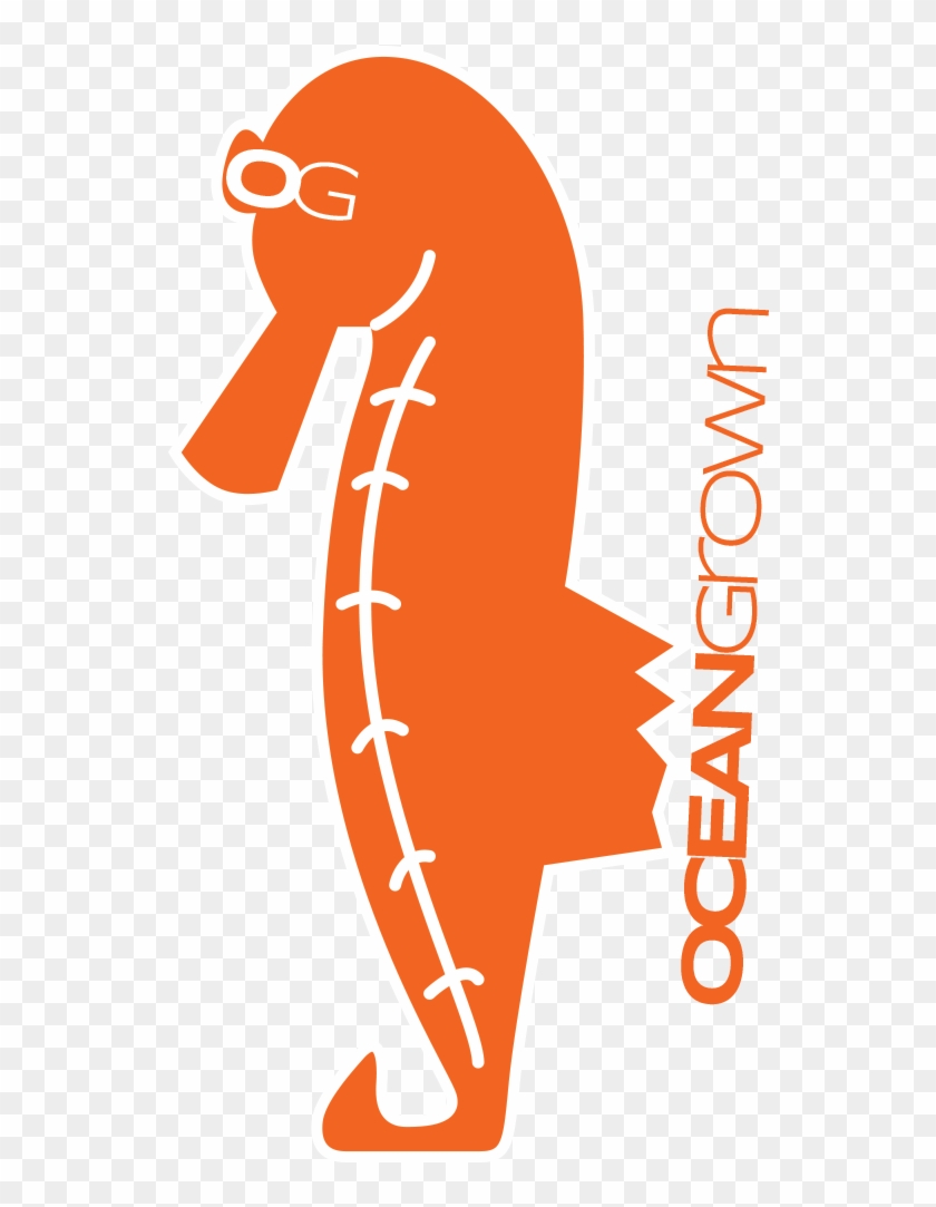 Ocean Grown Sticker Pack - Seahorse #1201098