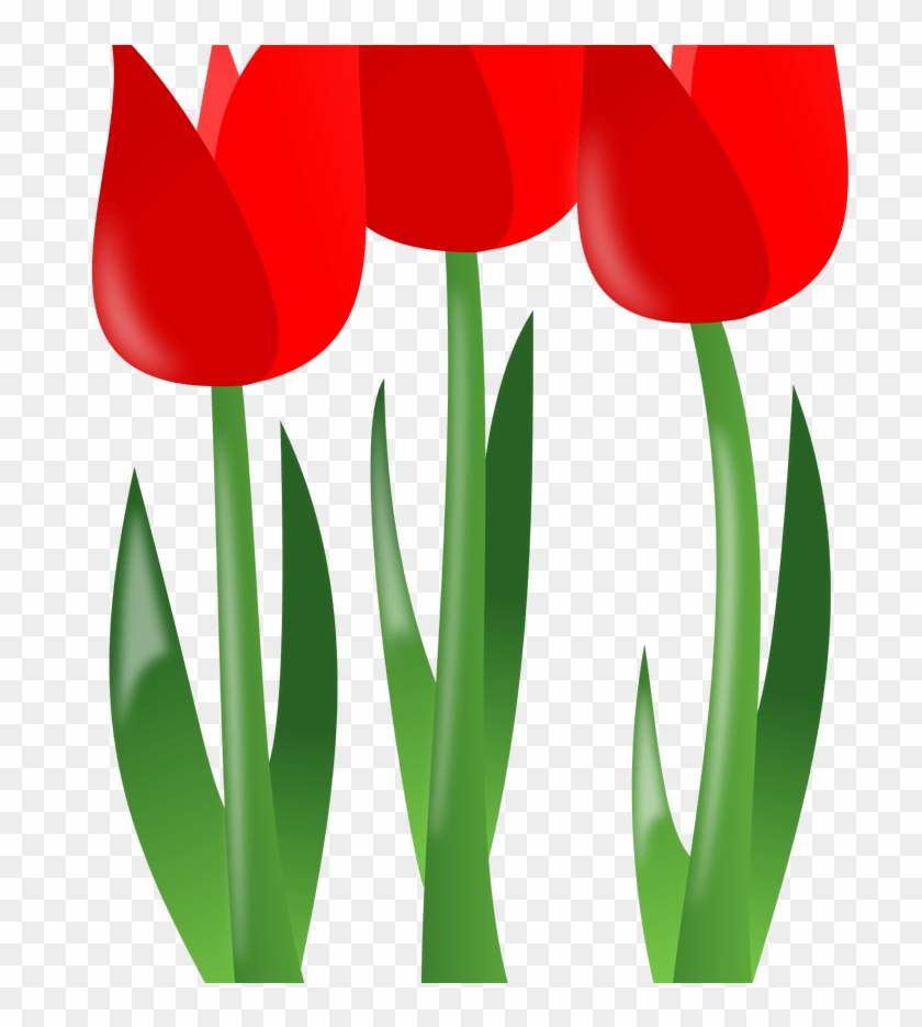 Free Spring Flower Clipart Free Download Best Free - Mothers Day Flowers Clipart #1201105