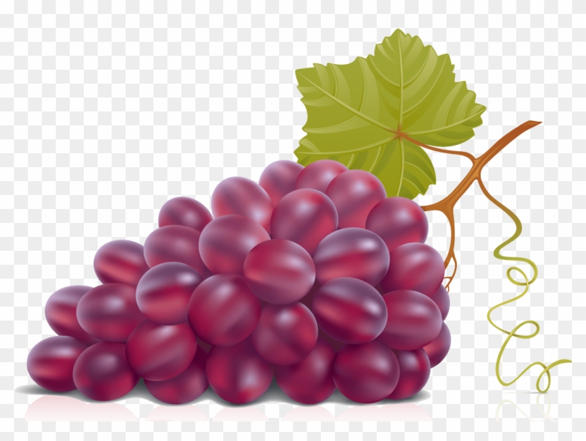 Red Grape Vector Png #1201111