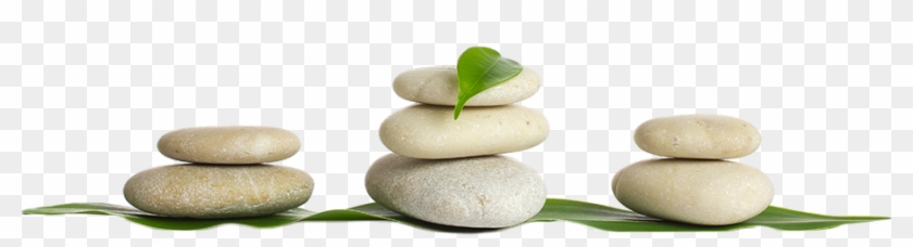 Archive Celia Young, Green Orchid On The Rocks - Transparent Massage #1201146