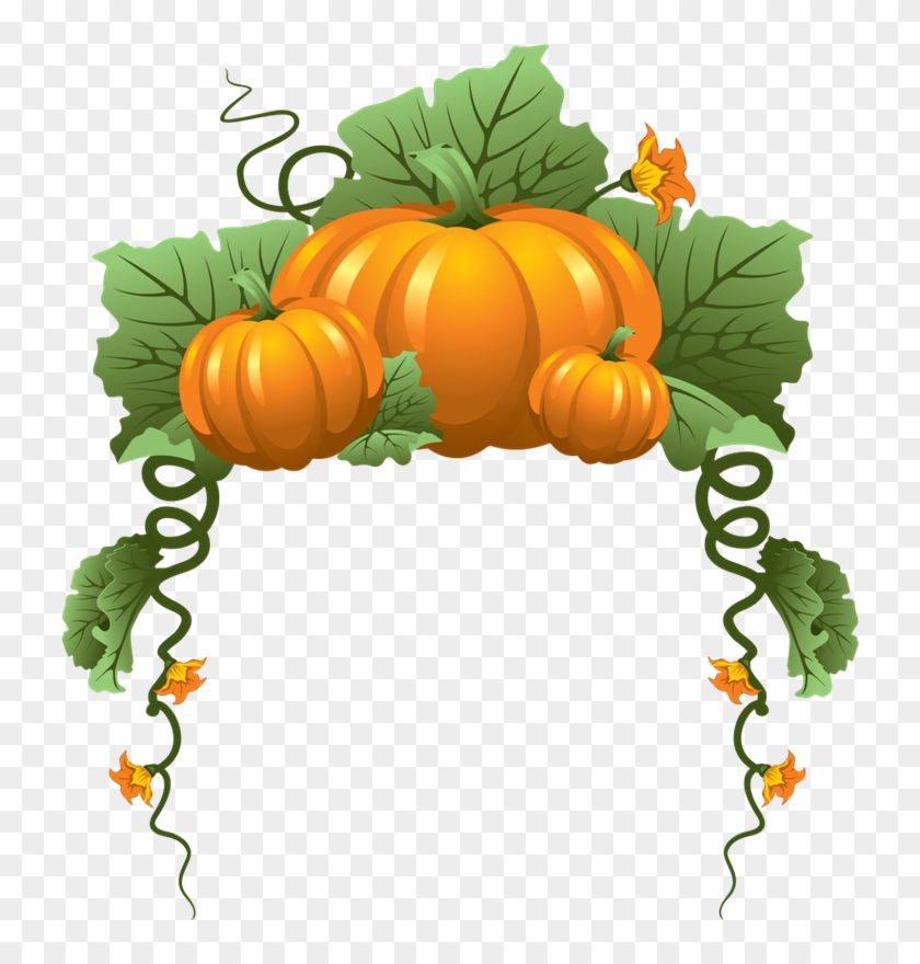 Go To Image - Pumpkin Vine Border #1201207