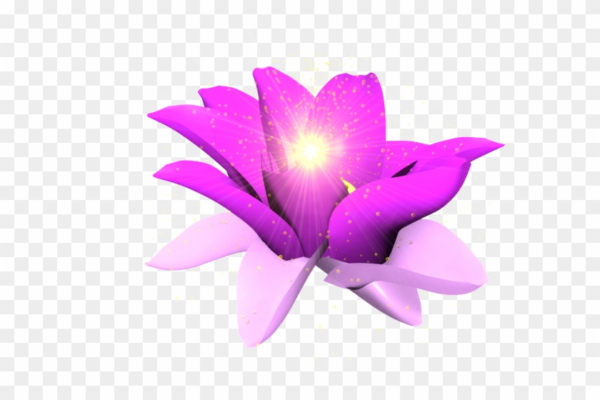 Glowing Purple Flower Png #1201291