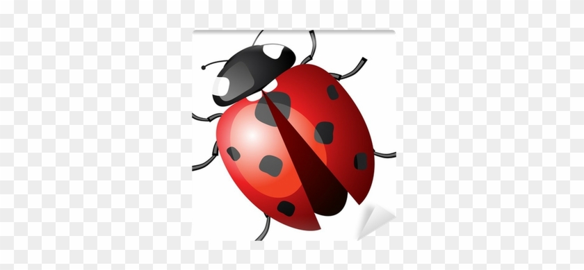 Ladybug Or Ladybird - Ladybird #1201335
