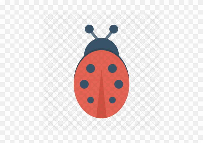 Ladybird Icon - Ladybird Beetle #1201405