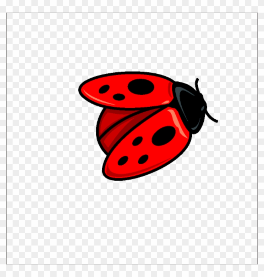 Beetle Coccinella Septempunctata Free Ladybird Drawing - Ladybug Dibujos Animados #1201429