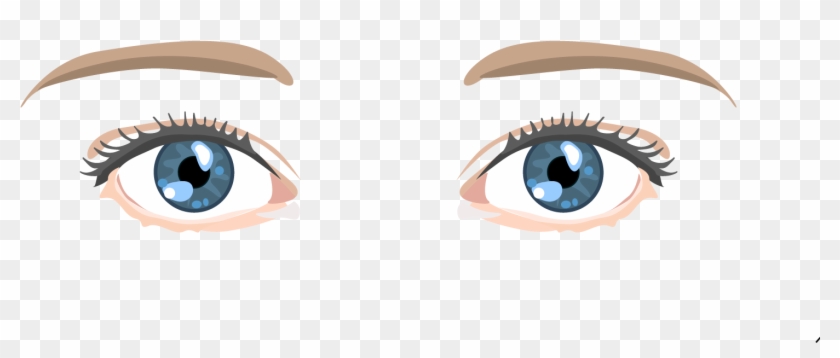 Los Ojos De Dibujos Animados - Vector Eyes - Free Transparent PNG Clipart  Images Download