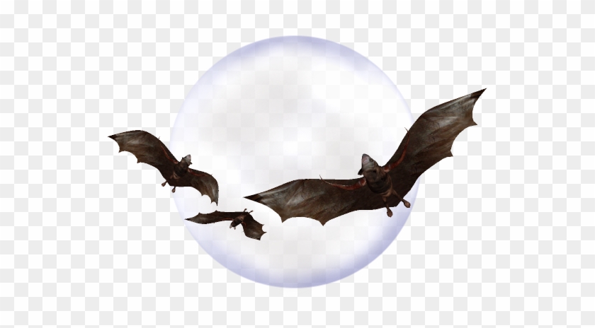 Bat-056 - Vampire Bat #1201790