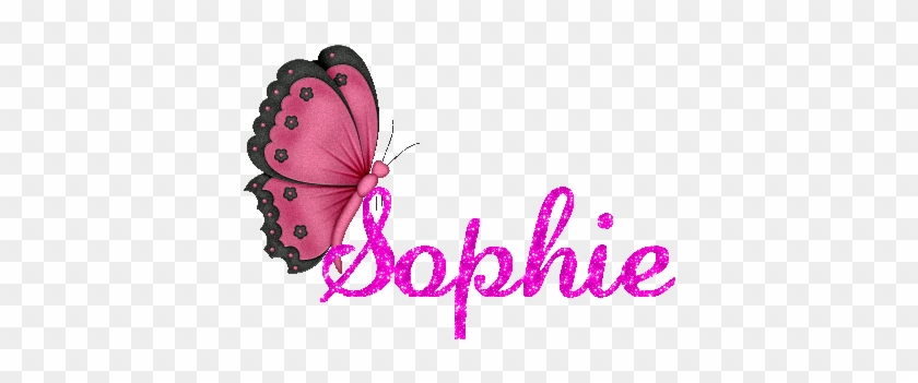 If You Fancy Your Hand At Writing Too You Can Enter - Sophie The Name #1201899