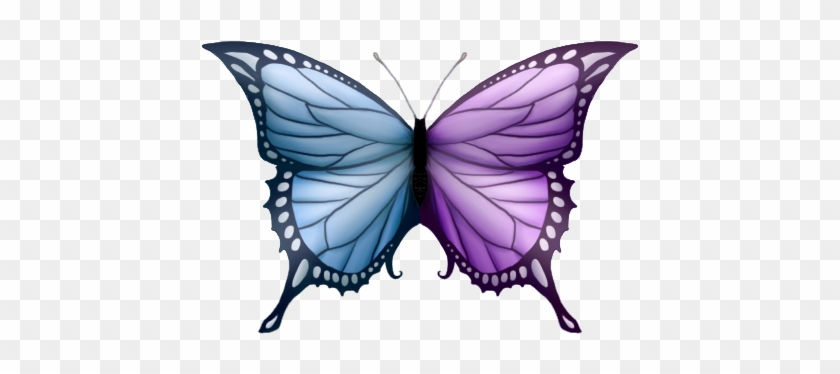 Two Colored Butterfly By Lilafly - Art #1201951
