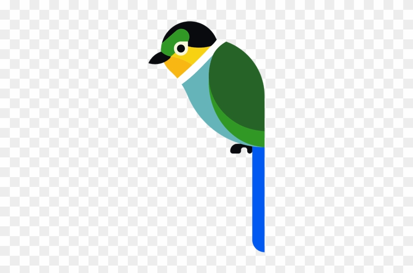 Turquoise Parrot Illustration Transparent Png - Desenho De Arara Png #1202084