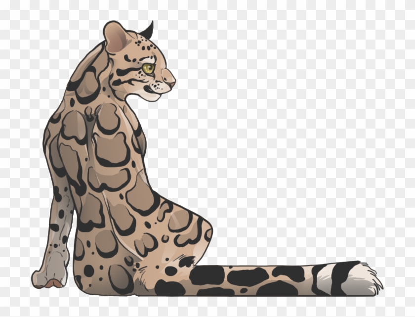 Leopard Seal Clipart Deviantart - Clouded Leopard Drawing #1202183