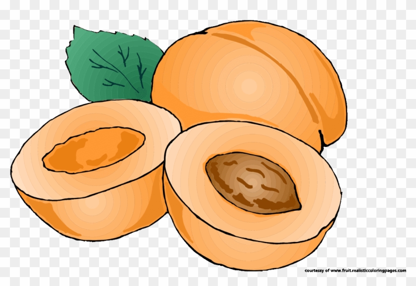 Pumpkin Apricot Fruit Clip Art - Apricot Png Clipart #1202197