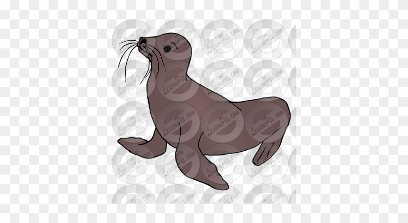 Sea Lion Clipart Seal Animal - California Sea Lion #1202201