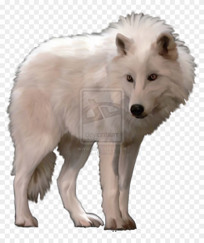 Polar Fox Clipart Arctic Wolf Pencil And In Color Polar - White Wolf Transparent Background #1202209