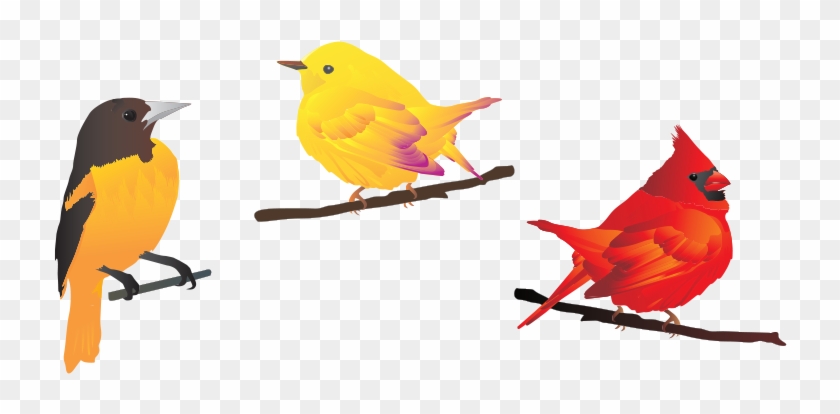 Birds Vector Illustrations Free Download Png Graphic - Free Bird Vectors Png #1202215