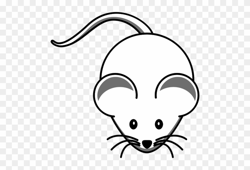 Vector Clip Art Of Cartoon White Mouse With Long Mustache - Cartoon Mouse #1202398