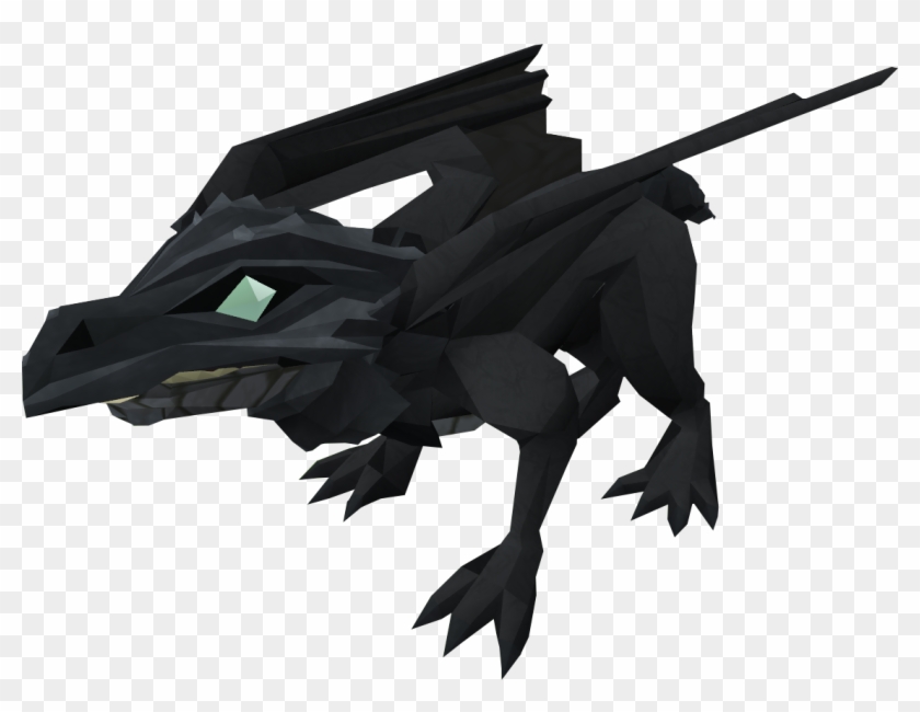 Secrets Baby Dragons Pictures Dragon Pet Runescape - Black Baby Dragon #1202419