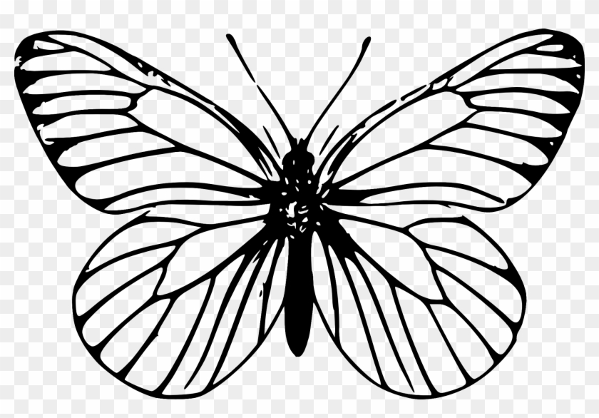 Butterfly Clipart For Kids Black And White - Butterfly Outlines #1202583
