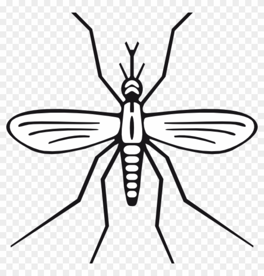 Mosquito Clipart Clip Art At Clker Vector Online Royalty - Mosquito Clip Art #1202635