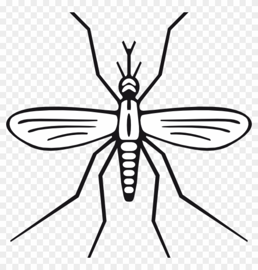 Mosquito Clipart Clip Art At Clker Vector Online Royalty - Mosquito Clip Art #1202635