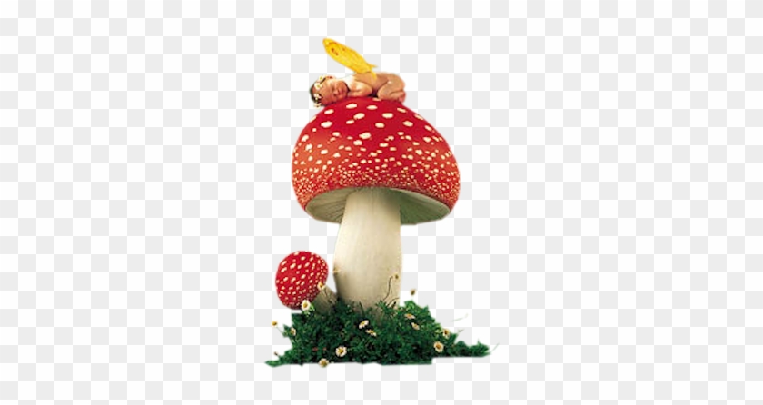 Fairies And Mushrooms - Anne Geddes - Erin As Toadstool Canvas Last Ones In #1202791