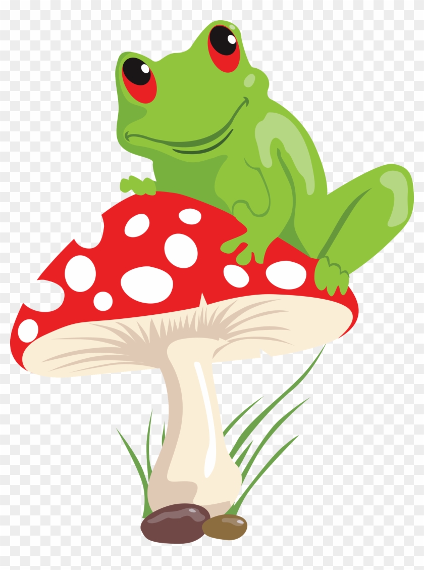 Frog Mushroom Lithobates Clamitans Illustration - Frog And Mushroom Drawing #1202793