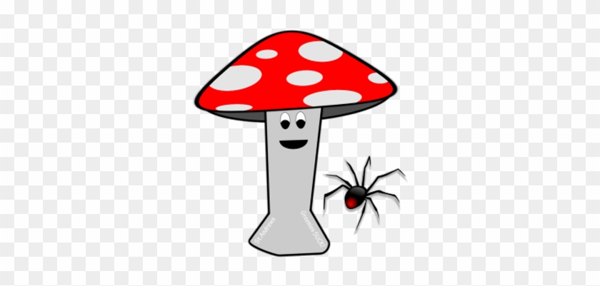 Spotty Mushroom - Black Widow Spider #1202812