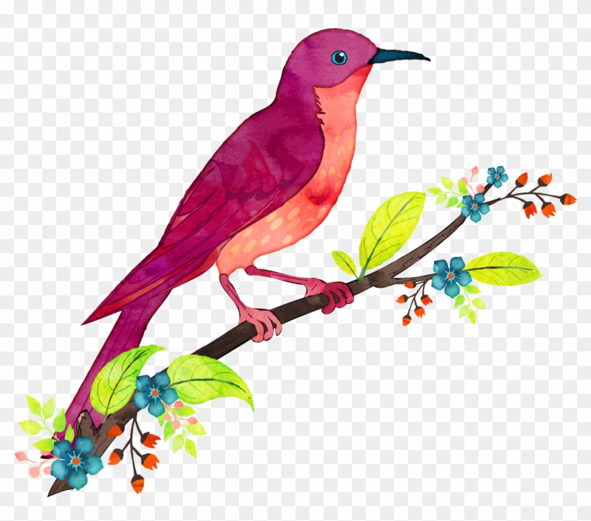 Bird Watercolor Painting Illustration - Ptiček Pobarvanka #1202838