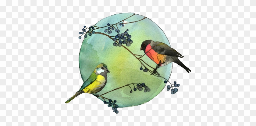 Watercolor Bird - Google Search - Green Bird Watercolour Transparent #1202851