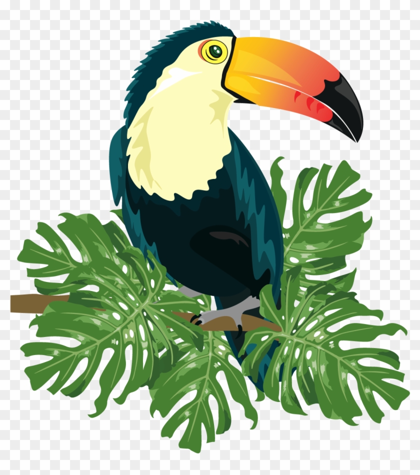Ramphastinae Bird Ramphastos Illustration - Tropical Bird Vector Png #1202868