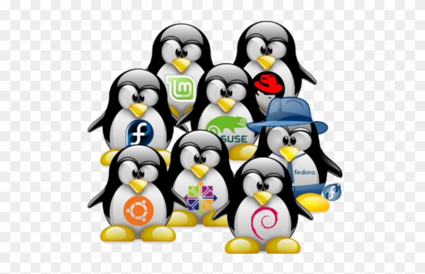 100% Disco Linux Ubuntu Aws - Como Se Llama El Pinguino De Linux #1202871