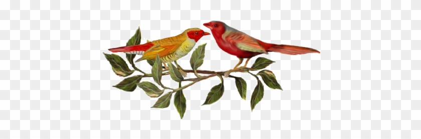 Two Red Birds Birds And Butterflies Wedding Illustration - Dinner #1202870