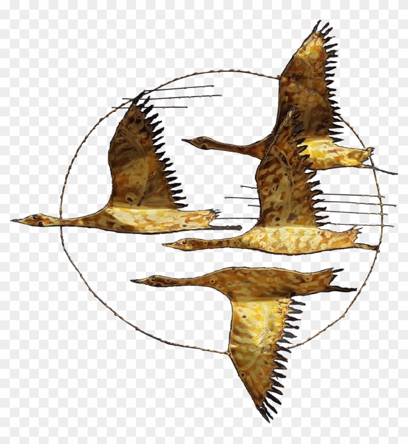 Flying Bird Illustration Vintage - Bufflehead #1202886