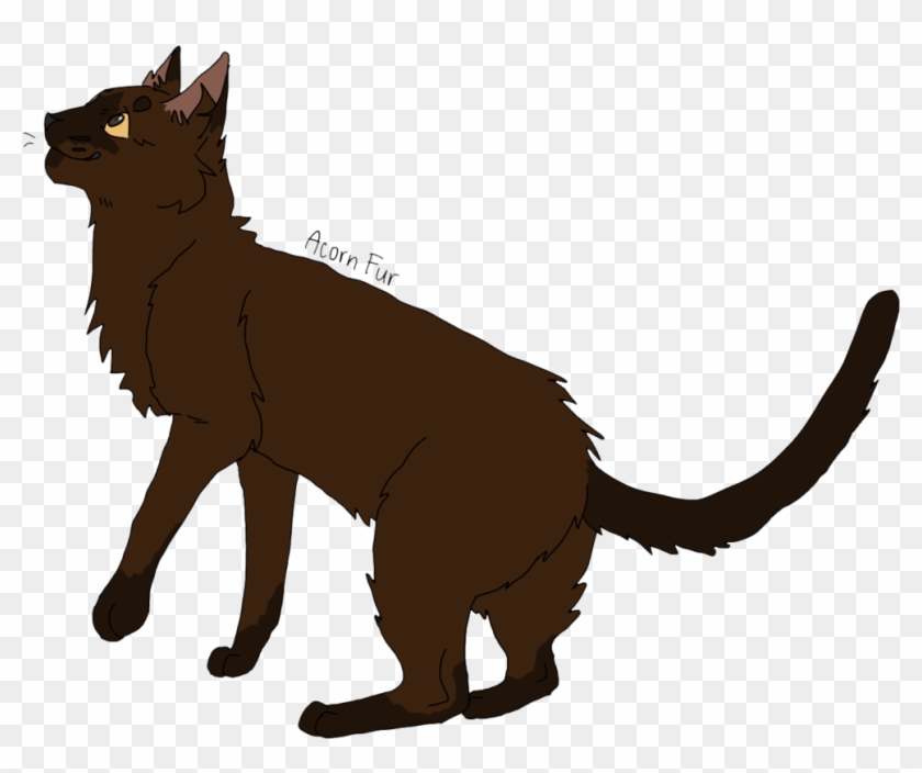 Acorn Fur By Glasskats - Warrior Cats Acorn Fur #1202894