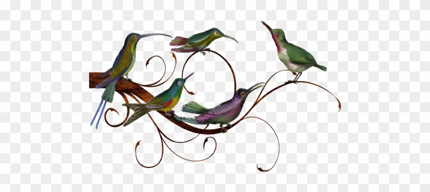 Birds And Butterflies Birdz Family Artwork - Wording Donation Thank You Cards #1202900
