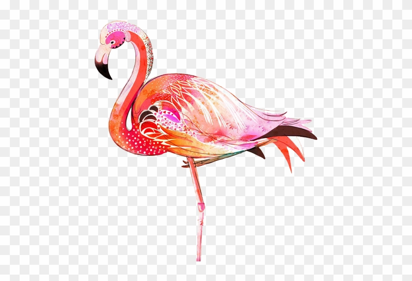Greater Flamingo Bird Illustration - Flamingos #1202910