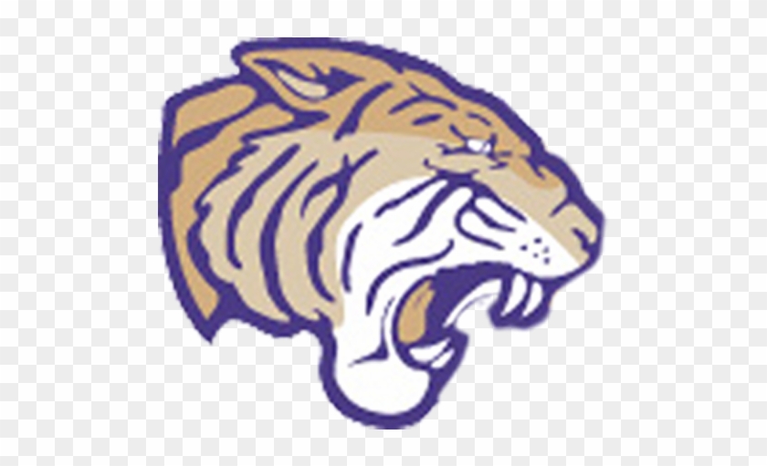 Olivet Nazarene University Tiger #1203084