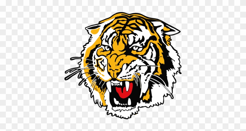 The Proposed New Richmond Logo Page 3 Tigers Bigfooty - Tedas Junior Football Club #1203277
