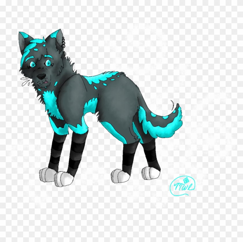 Black Cat #1203308