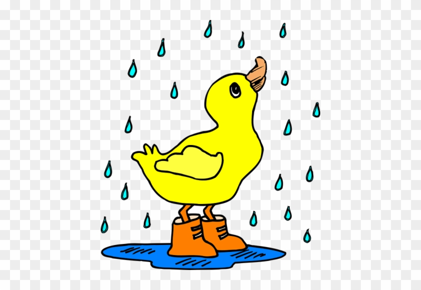 It S Weather For Ducks Walkin Writin Wit Whimsy Rh - Duck In Rain Boots #1203763